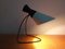 Mid-Century Table Lamp by Josef Hurka for Napako, 1960s, Image 9