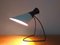 Mid-Century Table Lamp by Josef Hurka for Napako, 1960s, Image 10