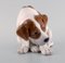 Porcelain Labrador Puppy from Royal Copenhagen, 1920s, Image 2
