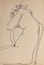 Tibor Gertler, Internal Nude, Ink Drawing, 1950s, Image 1
