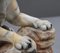 Early 20th Century Alabaster Tiger Sculpture 11