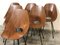 Italian Plywood Medea Dining Chairs by Vittorio Nobili for Fratelli Tagliabue, 1950s, Set of 6, Image 2
