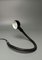 Vintage Hebi Table Lamp by Isao Hosoe for Valenti Luce 1