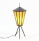 French Mid-Century Modern Table Lamp, 1950s 6