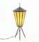 Lampe de Bureau Mid-Century Moderne, France, 1950s 6