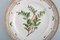 Flora Danica Plate in Hand-Painted Porcelain with Flowers from Royal Copenhagen 2