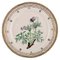 Flora Danica Plate in Hand-Painted Porcelain with Flowers from Royal Copenhagen 1