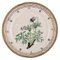 Flora Danica Plate in Hand-Painted Porcelain with Flowers from Royal Copenhagen, Image 1