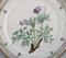 Assiette Flora Danica en Porcelaine Peinte à la Main avec Fleurs de Royal Copenhagen 2