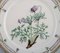 Flora Danica Plate in Hand-Painted Porcelain with Flowers from Royal Copenhagen 2