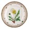 Assiette Flora Danica en Porcelaine Peinte à la Main avec Fleurs de Royal Copenhagen 1