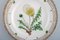 Flora Danica Plate in Hand-Painted Porcelain with Flowers from Royal Copenhagen, Image 2