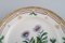 Flora Danica Plate in Hand-Painted Porcelain with Flowers from Royal Copenhagen 3