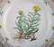 Flora Danica Plate in Hand-Painted Porcelain with Flowers from Royal Copenhagen 2