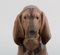 Model 1322 Porcelain Figurine of Bloodhound from Royal Copenhagen 6