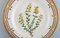 Flora Danica Dinner Plate in Hand-Painted Porcelain from Royal Copenhagen 2