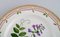 Flora Danica Dinner Plate in Hand-Painted Porcelain from Royal Copenhagen, Image 3