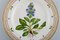 Flora Danica Dinner Plate in Hand-Painted Porcelain from Royal Copenhagen, Image 2