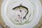 Flora Danica Fish Plate in Hand-Painted Porcelain with Fish from Royal Copenhagen 2