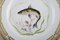 Flora Danica Fish Plate in Hand-Painted Porcelain with Fish from Royal Copenhagen, Image 2