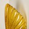 Murano Hand-Blown Amber/Ocher Glass Sea Shell Sconces, 1960s, Set of 2, Image 6