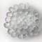 Cuenco Crystal de vidrio en forma de concha de Per Lutkin para Royal Copenhagen, Imagen 4