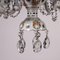 Bohemia Chandelier with Painted Glass, Early 20th Century, Image 5