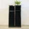 Green Printing Steel Cabinet with Shelves 3