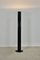 Megaron Floor Lamp by Gianfranco Frattini for Artemide, 1970s, Image 1