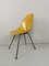 Oak Plywood Medea Chair by Vittorio Nobili for Fratelli Tagliabue, 1950s 1