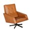 Fauteuil Pivotant, 1960s 1