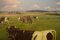 Knud Edsberg, Field Landscape with Cows, Oil on Canvas 4