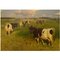 Knud Edsberg, Feld Landschaft mit Kühe, Öl auf Leinwand 1