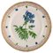 Assiette Flora Danica Royal Copenhagen en Porcelaine Peinte à la Main avec Fleurs 1