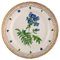 Royal Copenhagen Flora Danica Plate in Hand Painted Porcelain with Flowers 1