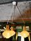 Danish Ceiling Lamp with 3 Shades, 1960s 2