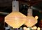 Danish Ceiling Lamp with 3 Shades, 1960s 8