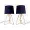 Brass Table or Wall Lamps from ASEA, 1950s, Set of 2, Image 2