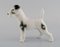 German Porcelain Terrier and Greyhound Figurines, Set of 4 5