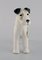 Figurines Greyhound Terrier et Porcelaine, Allemagne, Set de 4 6