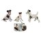 Deutscher Porzellan Terrier und Windhund Figuren, 4er Set 1