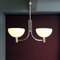 Italian AM/AS Ceiling Lamp by Franco Albini & Franca Helg for Sirrah, 1969, Image 2
