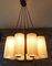 Danish Teak & Resin Chandelier, 1960s, Image 4