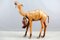 Camello Mid-Century de cuero, años 60, Imagen 11