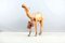 Camello Mid-Century de cuero, años 60, Imagen 3