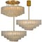 Large Blown Glass and Brass Light Fixture from Doria, Image 19