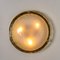 Brass and Blown Murano Glass Wall Light / Flush Mount, 1960s 6