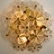 Large Glass and Brass Floral Wall Light from Ernst Palme, 1970s 6