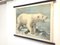 Schulposter eines Eisbären, Lithographie, Frühes 20. Jahrhundert 4