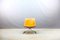 Mid-Century Skater Lounge Chair by Jørgen Kastholm for Kill International, Image 15